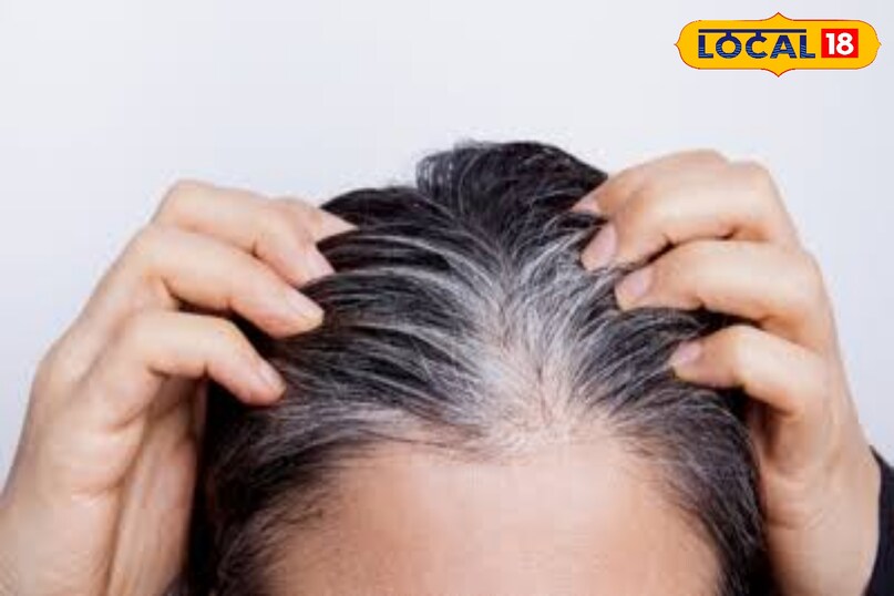 लोकल 18 लोकल 18