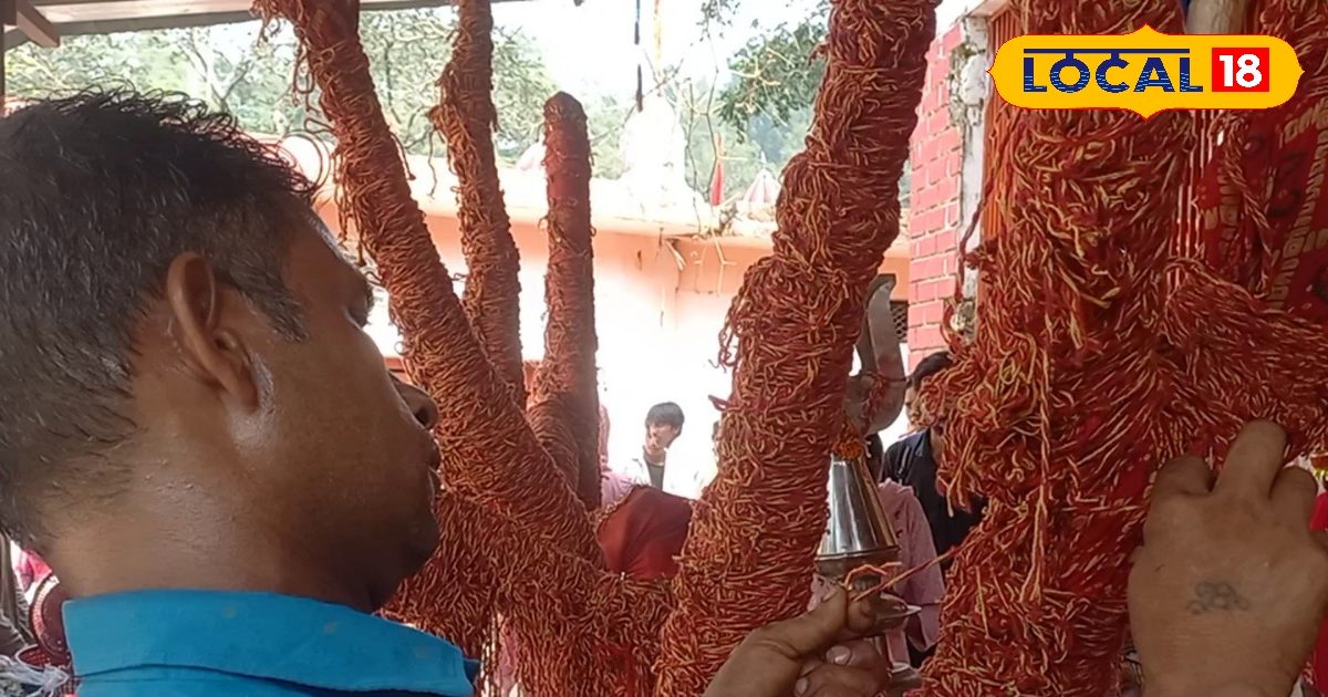 Saharanpur News: आपकाे भी चाहिए मनचाहा वरदान, तो बांधिए एक कलावा, जानें इस पेड़ का रहस्य