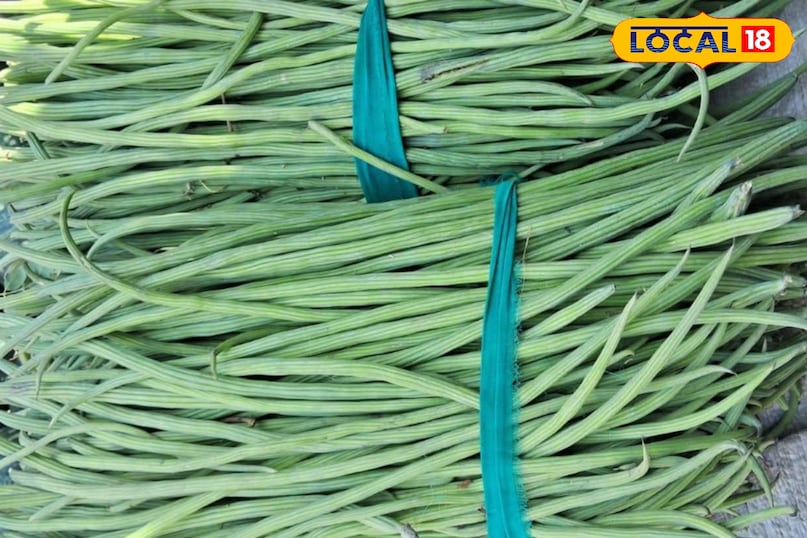कैल्शियम और आयरन 