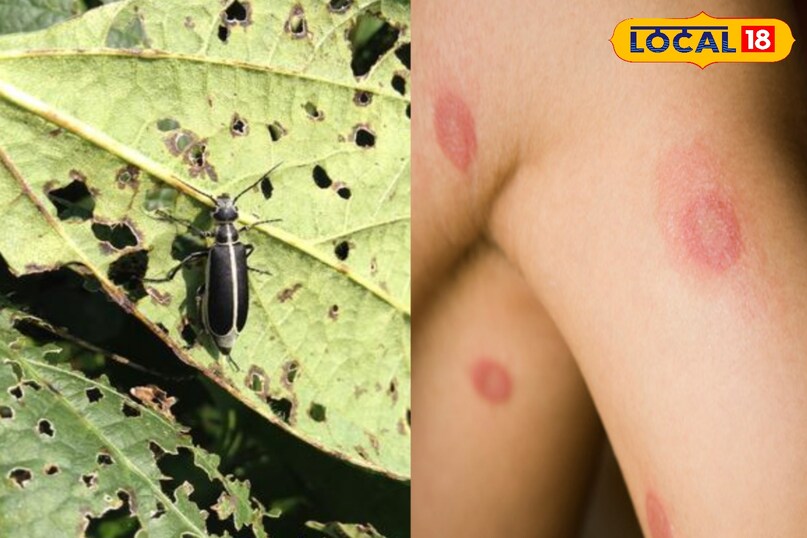 त्वचा पर लक्षण