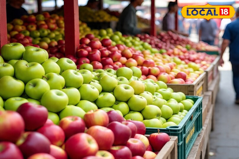 सेब में वैक्सिंग कैसे की जाती है, वैक्सिंग वाले सेब की पहचान कैसे करें, सेब खरीदते वक्त किन बातों का ध्यान रखें, वैक्सिंग वाला सेब सेहत के लिए नुकसानदायक हो सकता है, लोकल 18, How is waxing done in apples, how to identify waxed apples, what things should be kept in mind while buying apples, waxed apples can be harmful for health, Local 18 सेब में वैक्सिंग कैसे की जाती है, वैक्सिंग वाले सेब की पहचान कैसे करें, सेब खरीदते वक्त किन बातों का ध्यान रखें, वैक्सिंग वाला सेब सेहत के लिए नुकसानदायक हो सकता है, लोकल 18, How is waxing done in apples, how to identify waxed apples, what things should be kept in mind while buying apples, waxed apples can be harmful for health, Local 18