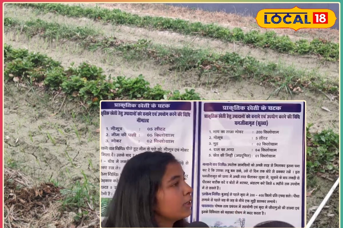 16 पंचायतों में 1875 एकड़ भूमि पर होगी रसायन मुक्त प्राकृतिक खेती,कैसे लें लाभ