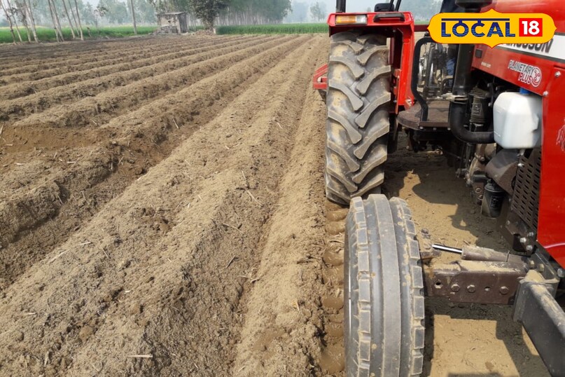 गन्ना गन्ना