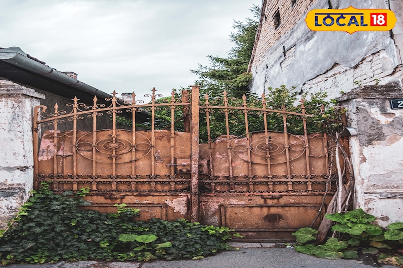 लोहे के दरवाजे और खिड़की में जंग हटाने न लगे,इसके लिए आप को समय समय पर उसकी सफाई के साथ साथ एंटी-रस्ट पेंट या प्राइमर जरूर करना चाहिए ,यह धातु की सतह को हवा और नमी से बचाता है, जिससे दोबारा जंग नहीं लगती.और दरवाजे,खिड़की नए जैसे दिखते है. लोहे के दरवाजे और खिड़की में जंग हटाने न लगे,इसके लिए आप को समय समय पर उसकी सफाई के साथ साथ एंटी-रस्ट पेंट या प्राइमर जरूर करना चाहिए ,यह धातु की सतह को हवा और नमी से बचाता है, जिससे दोबारा जंग नहीं लगती.और दरवाजे,खिड़की नए जैसे दिखते है.