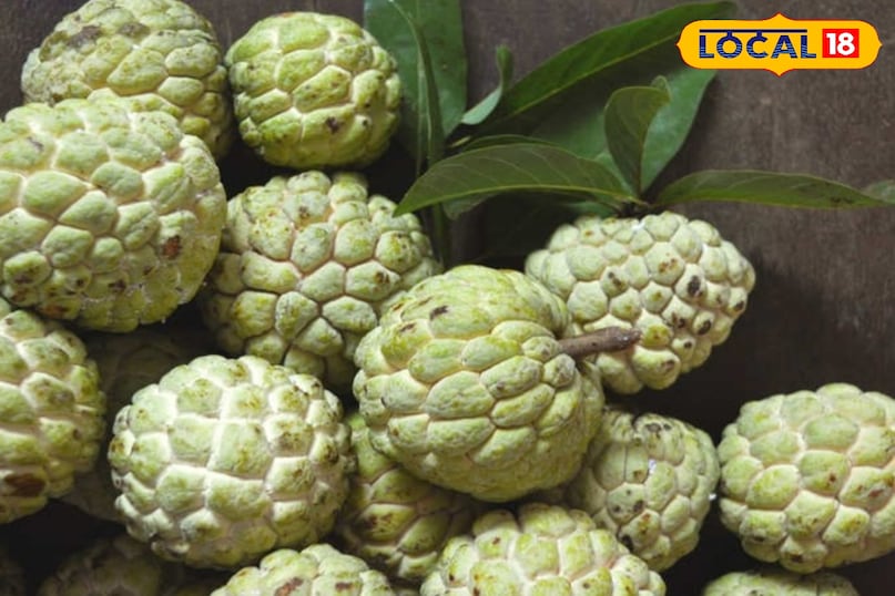 सीताफल 