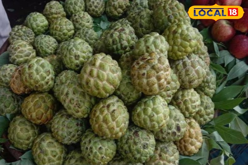 शरीफा शरीफा