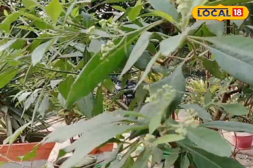 सेवन के विभिन्न तरीके सेवन के विभिन्न तरीके
