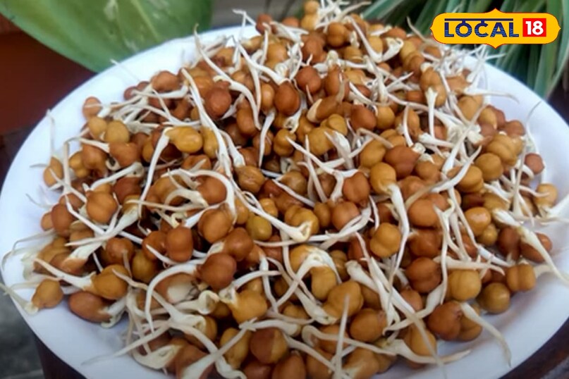 स्प्राउट्स स्प्राउट्स