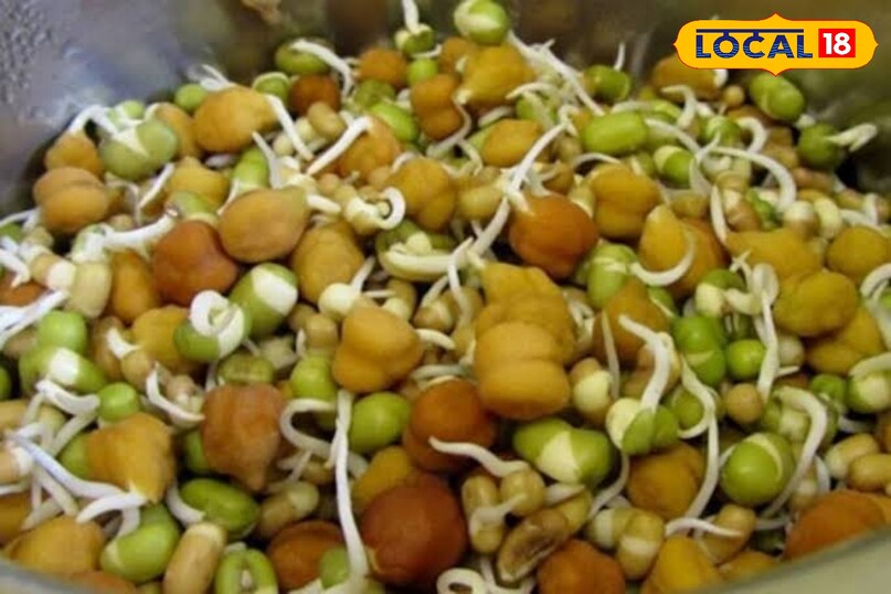 स्प्राउट्स स्प्राउट्स