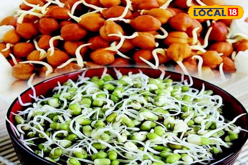 स्प्राउट्स स्प्राउट्स