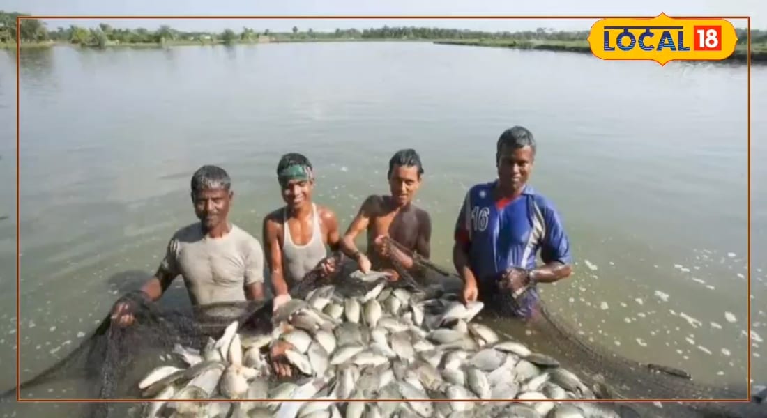 1 हेक्टेयर खेत, 3 तरफ से कमाई! सरकार की इस योजना से किसान भाइयों के दोनों...