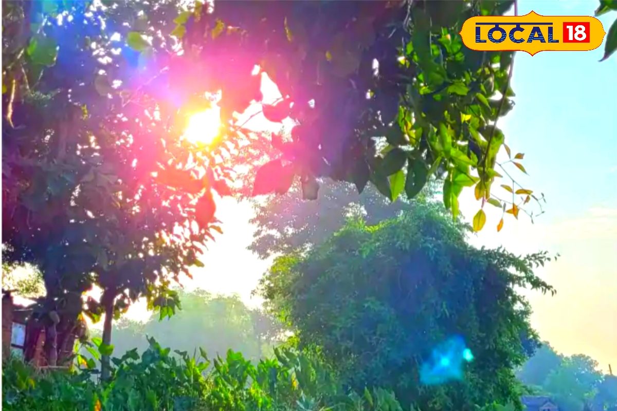 बिहार में भारी बारिश से मिलेगी निजात, पर वज्रपात से रहें सावधान!