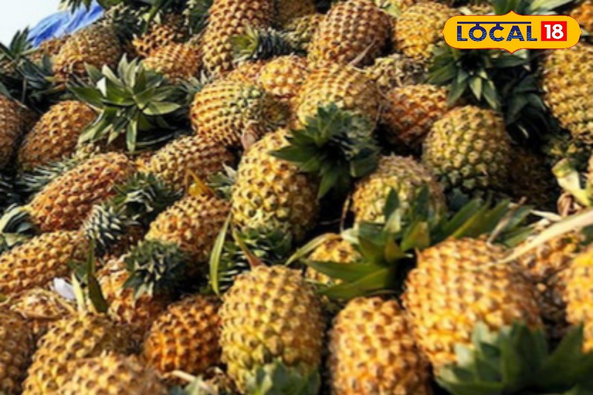 इस फल की मांग हुई तेज, किसानों को कर रहा मालामाल, जानें खेती का सही तरीका