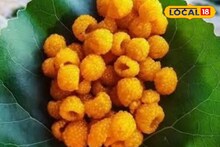 Mandi News: विलुप्‍त होता इम्यूनिटी का खजाना "हिसालु", पहाड़ का अमृत
