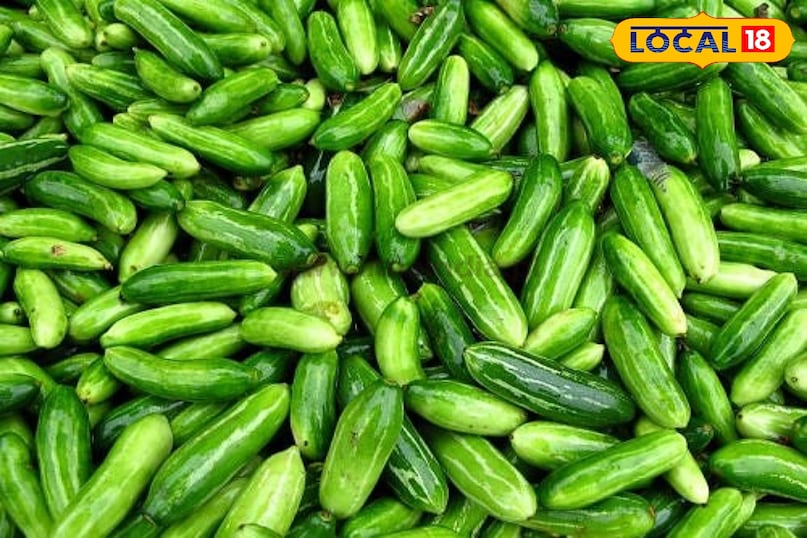 कुंदरू खाने के फायदे