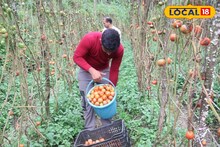 Mandi News: अनाथ से आत्मनिर्भर तक, धरलोग के मनीष की प्रेरक सफलता कहानी