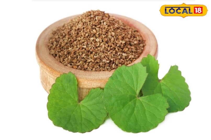 अजवाइन अजवाइन