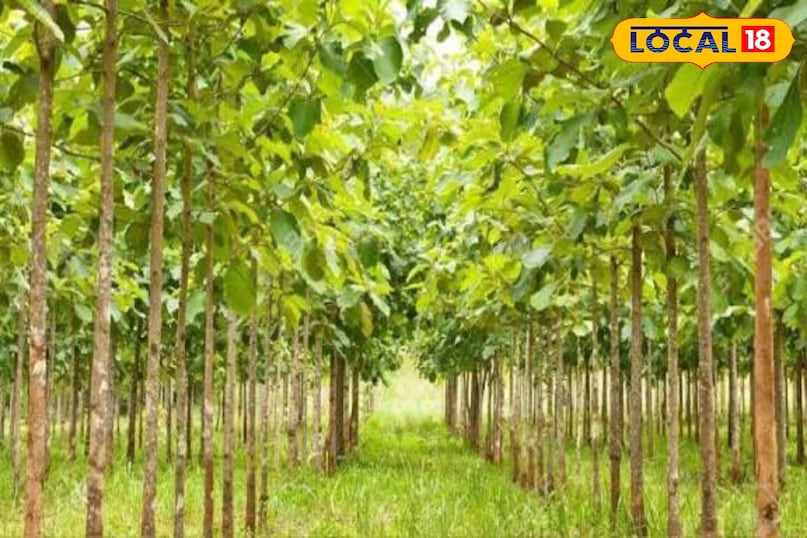 Agriculture News Agriculture News