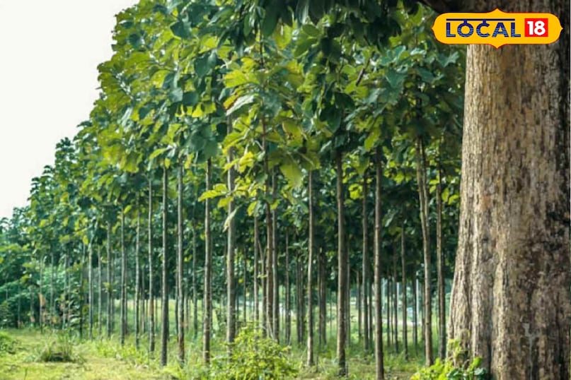 Agriculture News Agriculture News