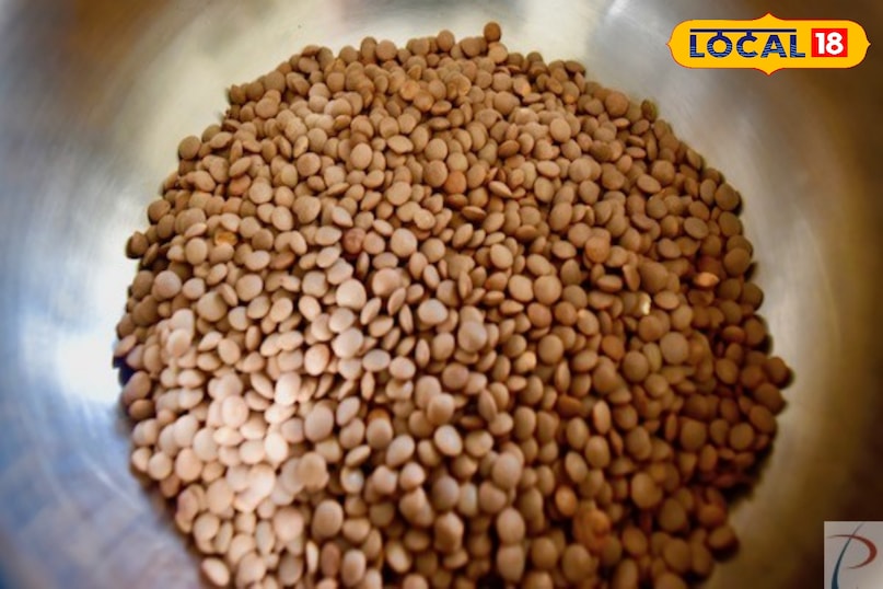 Lentils are an important part of a healthy diet