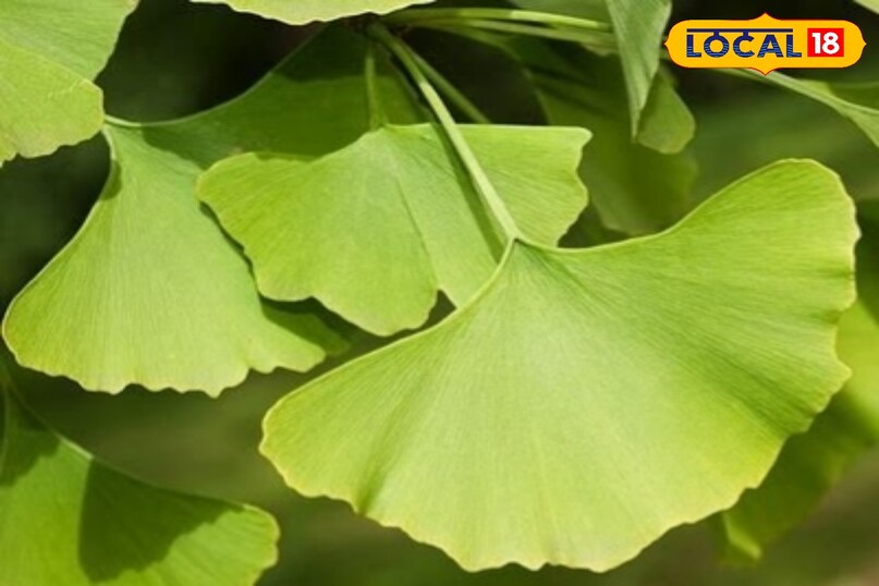 हेल्थ टिप्स हेल्थ टिप्स