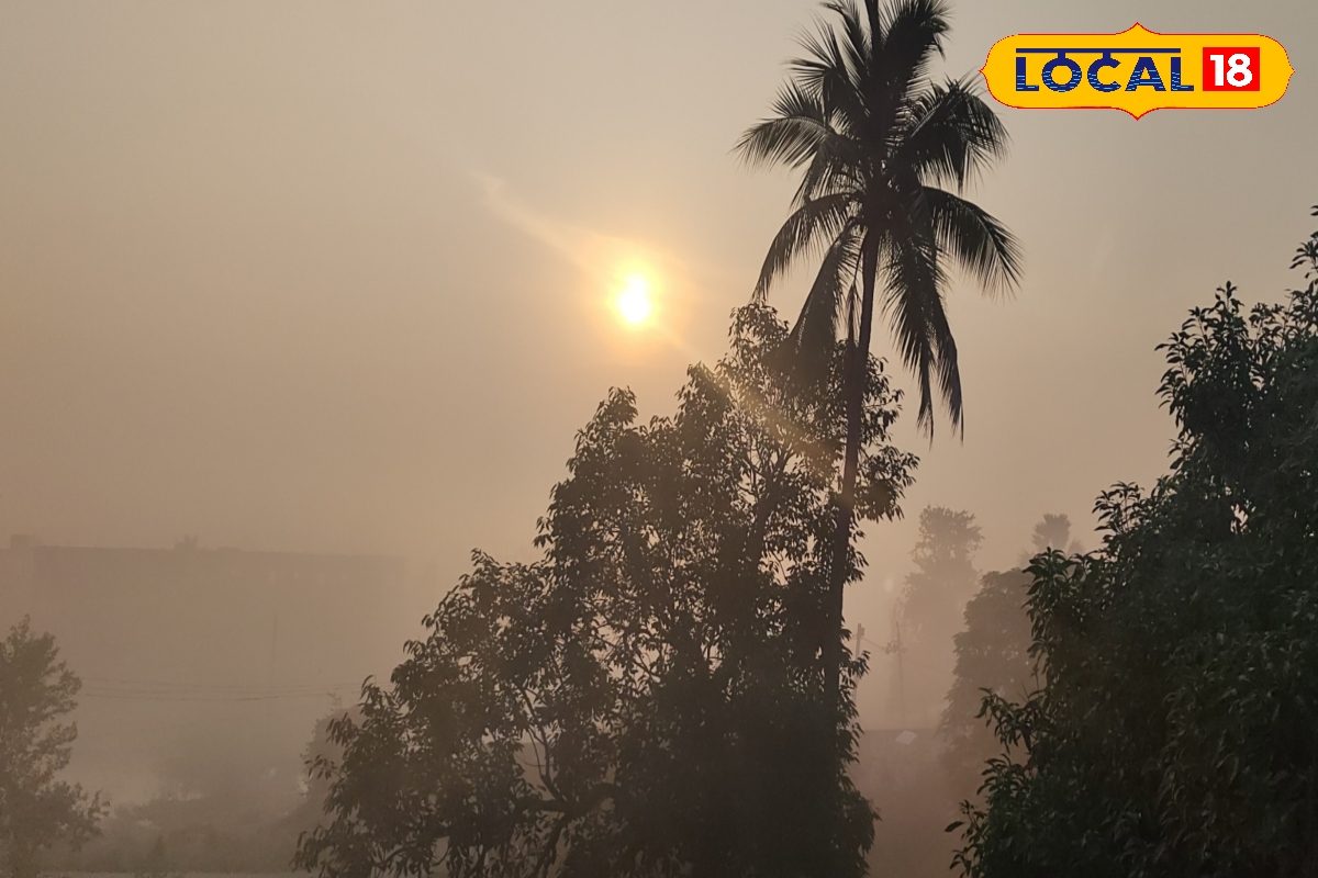 बिहार में ठंड ने दी दस्तक, पटना-गया सहित इन जिलों में दिख रहे कोहरे