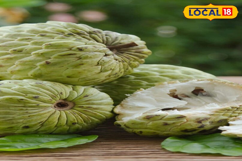 Moradabad news,up news,hindi news,local news, मुरादाबाद समाचार,यूपी समाचार,हिंदी समाचार,लोकल समाचार। 