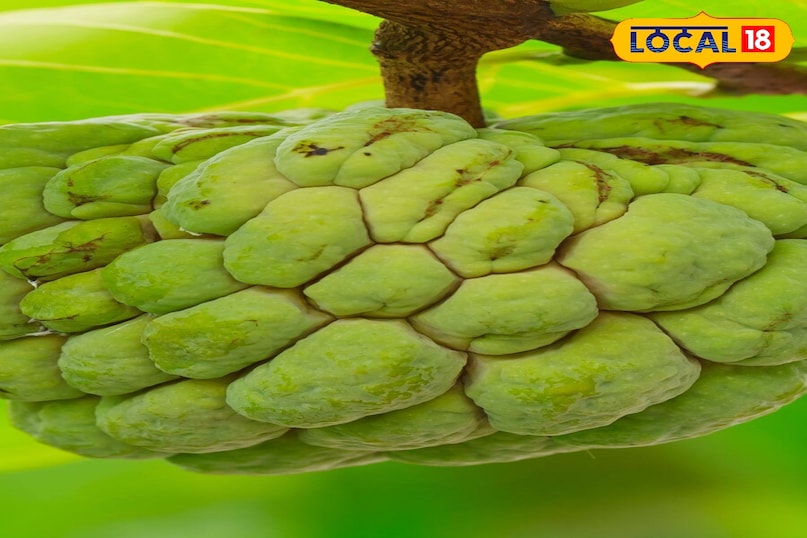 Moradabad news,up news,hindi news,local news, मुरादाबाद समाचार,यूपी समाचार,हिंदी समाचार,लोकल समाचार।