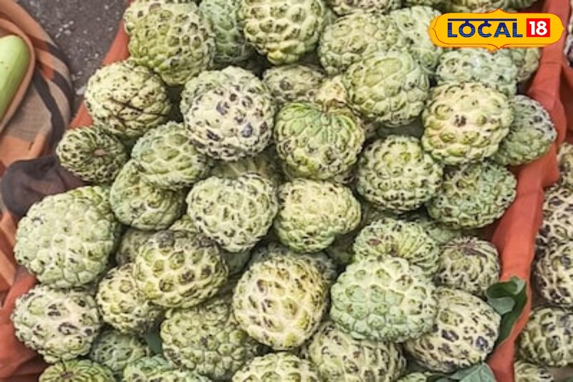 Moradabad news,up news,hindi news,local news, मुरादाबाद समाचार,यूपी समाचार,हिंदी समाचार,लोकल समाचार। 