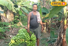 अलग खेती ने दिलाई पहचान, G-9 केले की बागवानी से साल में कर रहे 6-7 लाख रुपए की कर रहें कमाई, 