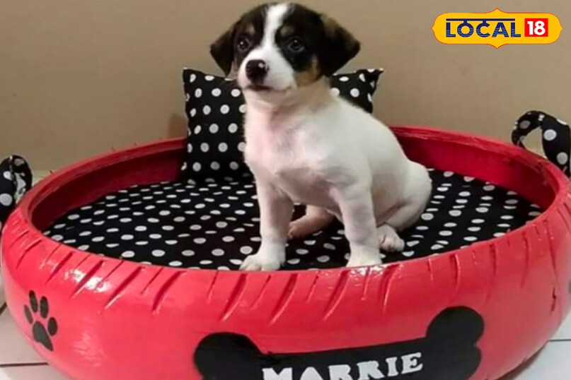 खराब टायर से पेट्स के लिए बेड