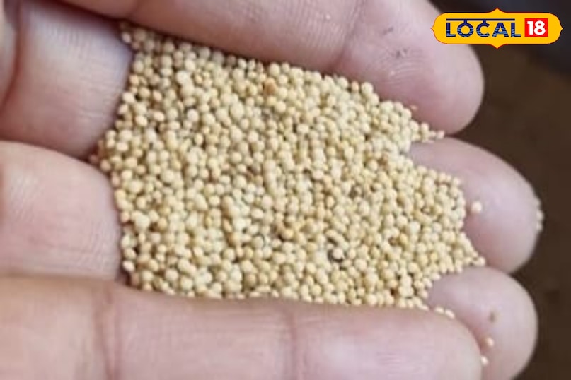 Moradabad news,hindi news,up news, local news, मुरादाबाद समाचार,हिंदी समाचार,यूपी समाचार,लोकल समाचार।