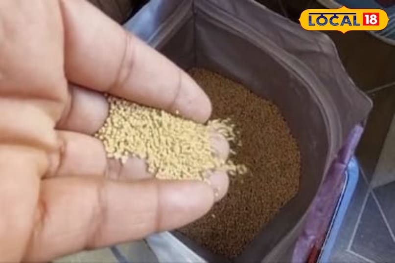 Moradabad news,hindi news,up news, local news, मुरादाबाद समाचार,हिंदी समाचार,यूपी समाचार,लोकल समाचार।