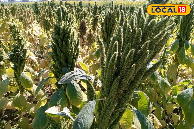 रामदाना