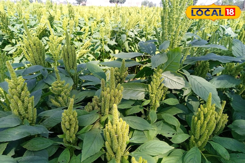 रामदाना