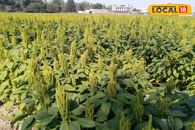 रामदाना