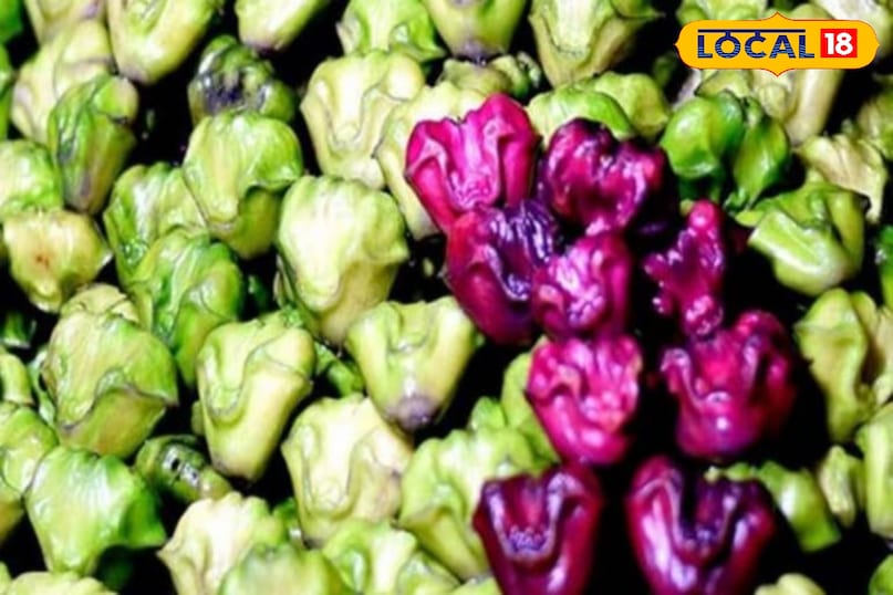 खनिज से है भरपूर।