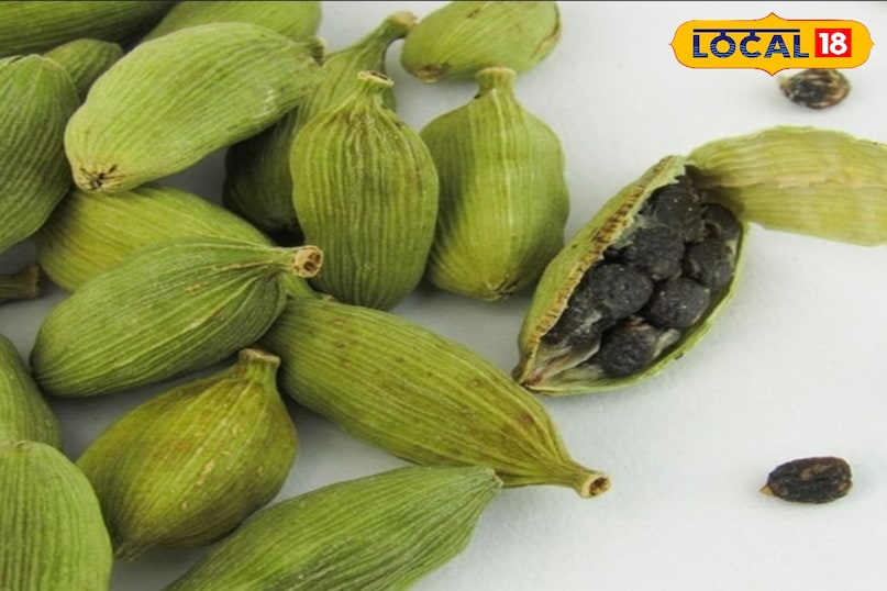 इलायची इलायची
