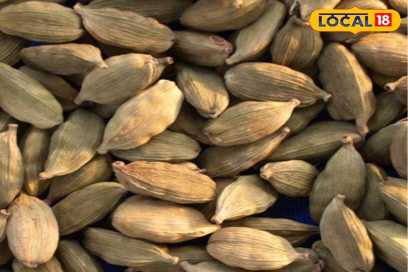 इलायची। इलायची।