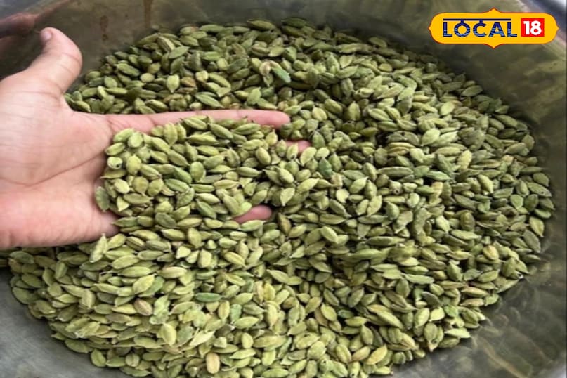 इलायची इलायची
