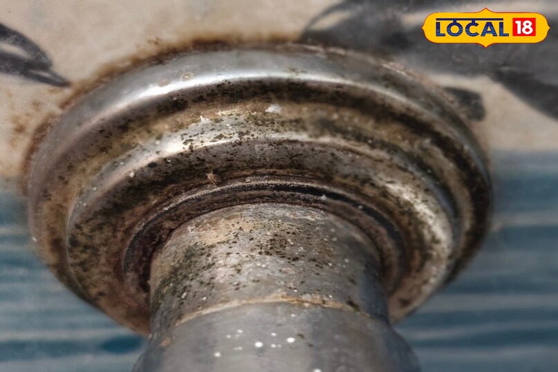 तुरंत दिखेगा लाभ तुरंत दिखेगा लाभ