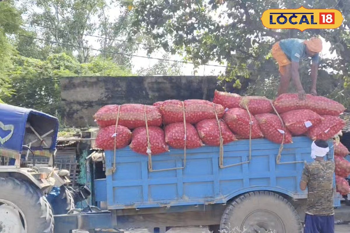 छठ में फलों के दाम छुएंगे आसमान! बाजार समिति को खाली करने पर बोले व्यापारी