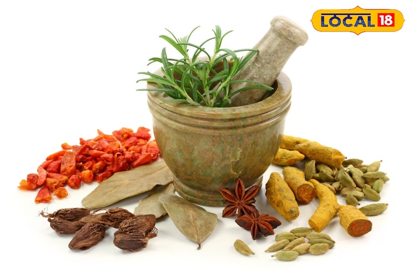 cough and cold ayurvedic treatment 