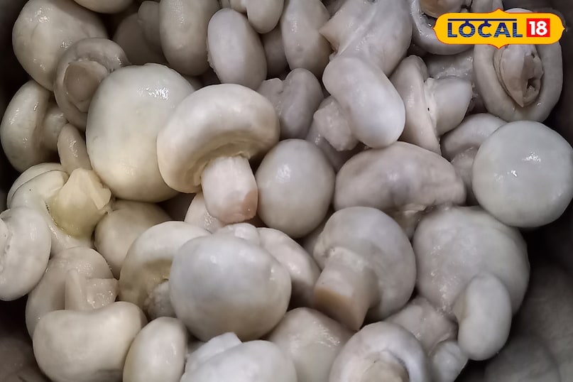 NEWS18 NEWS18