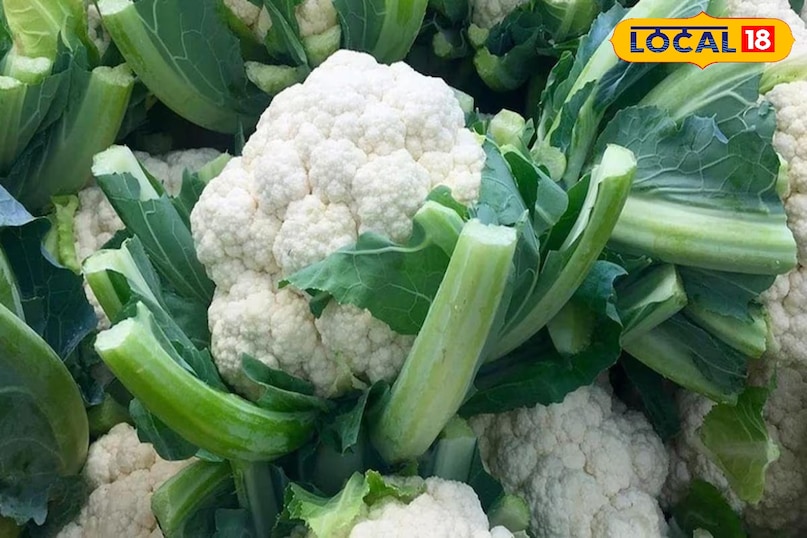 Vegetable Cultivation: अक्टूबर में उगाएं ये 5 हरी सब्जियां, पालक, मेथी, गोभी… बंपर होगा मुनाफा, जल्द बन जाएंगे मालामाल Vegetable Cultivation: अक्टूबर में उगाएं ये 5 हरी सब्जियां, पालक, मेथी, गोभी… बंपर होगा मुनाफा, जल्द बन जाएंगे मालामाल
