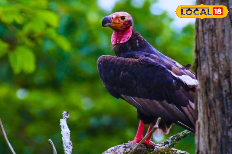 2024 में किया गया सेंसस