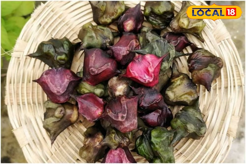 singhada benefits singhada benefits