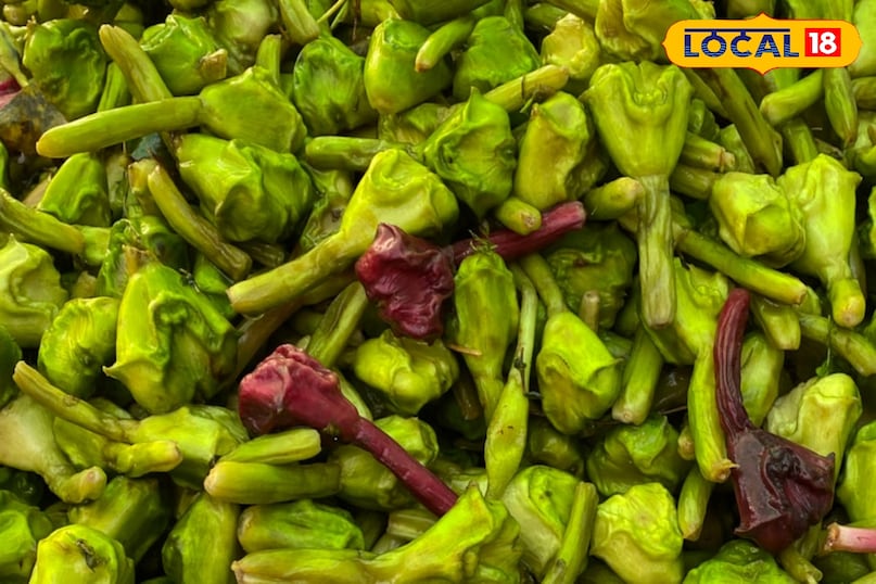 singhada benefits singhada benefits
