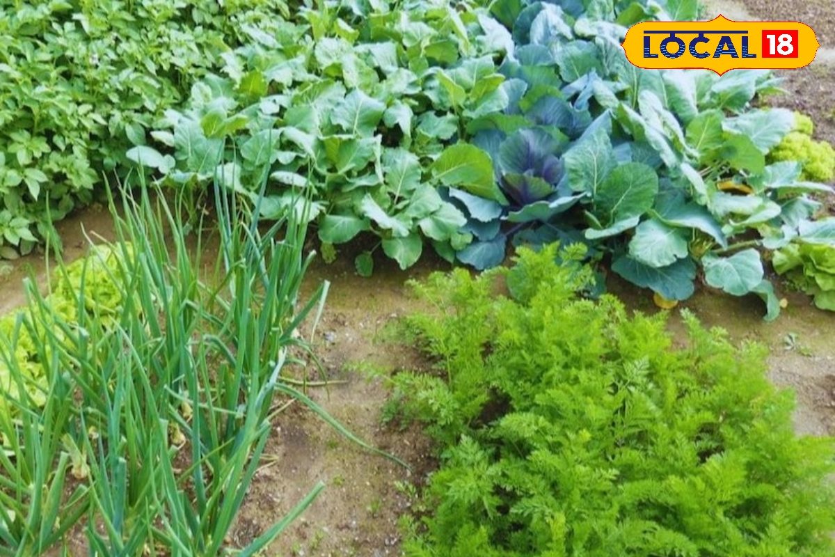 कम लागत में अधिक लाभ देने वाला व्यवसाय, किसानों की दोगुना आमदनी का नया जरिया
