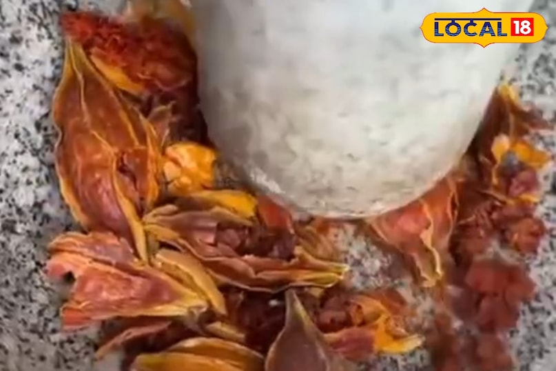 चमेली फूल 